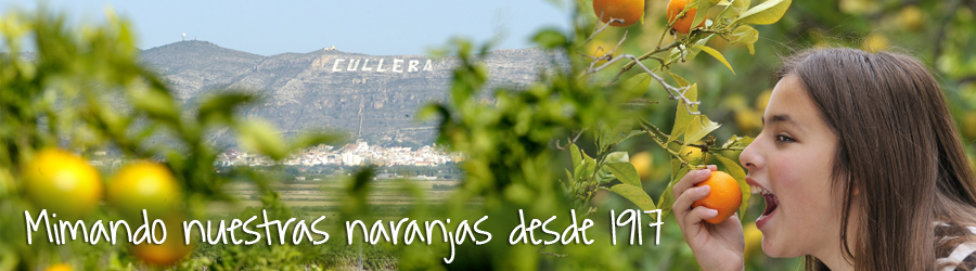 Mimando nuestras naranjas desde 1917