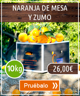 Combinado de naranjas de mesa y zumo 10k